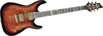 Schecter C-1 Classic (Picture from the web)