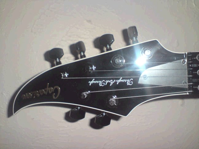 Image:Caparison5.jpeg