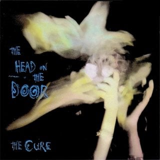 Image:head.jpg