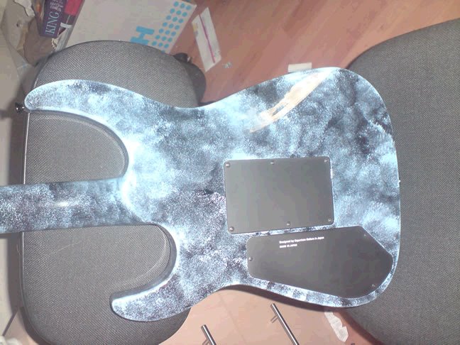 Image:Caparison2.jpeg