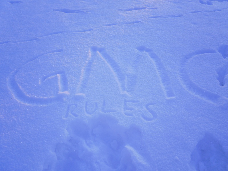Image:Spr10.jpg