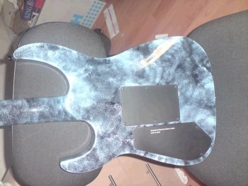 Caparison TAT2