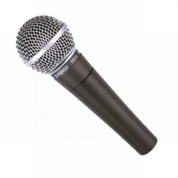 The SHURE SM58