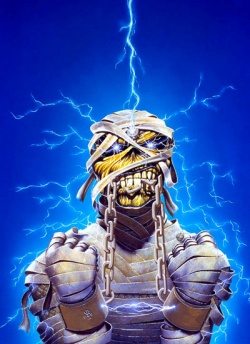 Up the Irons!